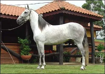 MATIARA