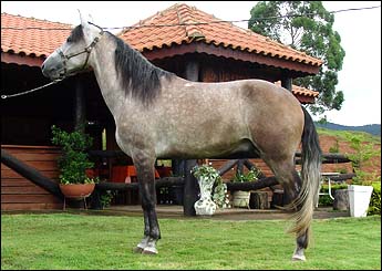 RUBI DA FRONTEIRA