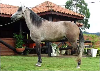 RUBI DA FRONTEIRA