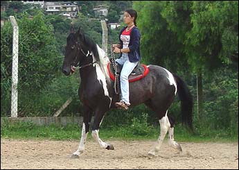 EROS VHC