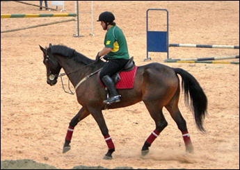 FOGUETE DO HH