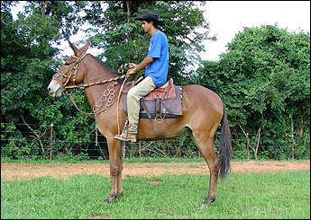 Sem nome Informado - 1136
