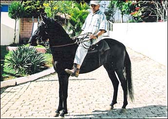 Sem nome Informado - 1058