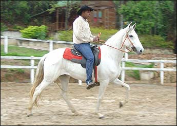 CORISCO