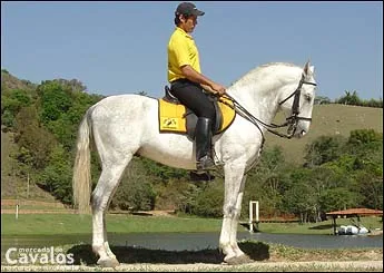 TRANQUILO DA ANHUMAS