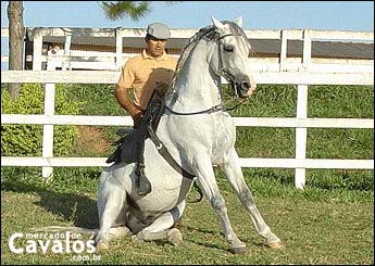 RIVAL DO TOP