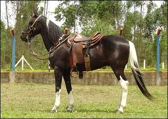 VENTANIA DO JM
