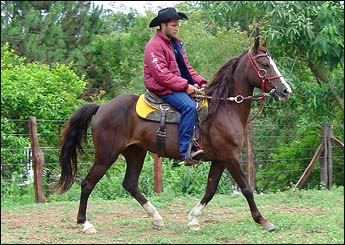 DUQUESA DOS MENINOS