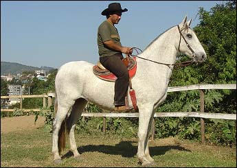 FARAÓ DO LUTY
