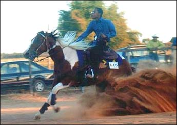MISS BILL CODY (IMPORTADA)