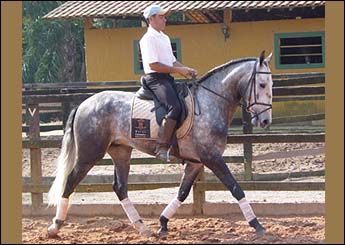 XIQUE DA CANTAREIRA