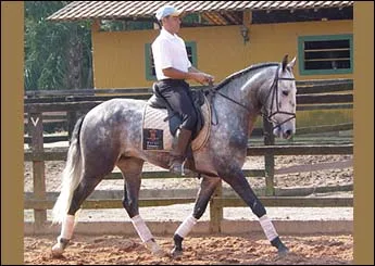 XIQUE DA CANTAREIRA