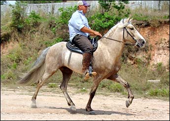 CONQUISTADOR