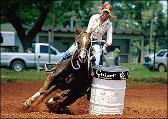 Sem nome Informado - 782