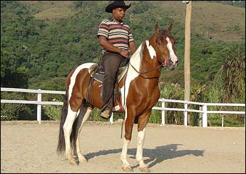 ATREVIDO DE SANTA TEREZINHA