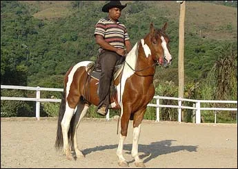 ATREVIDO DE SANTA TEREZINHA
