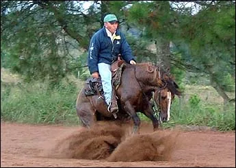TJ RINCÃO MISSIONEIRO