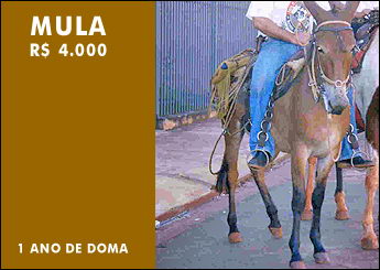 CIGANA