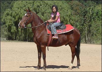 CATATAU VHC