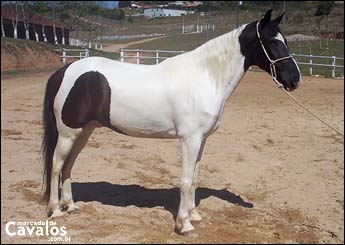 MAIRINQUE DO RANCHO NOVO