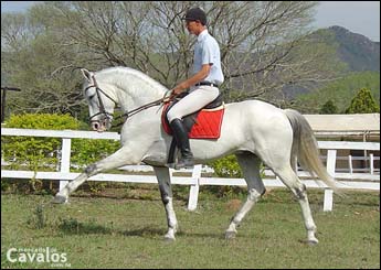 QUILOMBO DO TOP