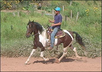 SIOUX DA CEVERA