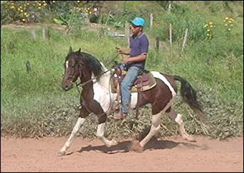 SIOUX DA CEVERA