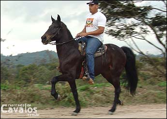 FEITIÇO