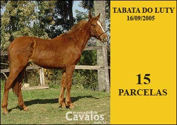 TABATA DO LUTY