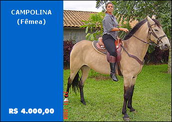 Sem nome Informado - 620