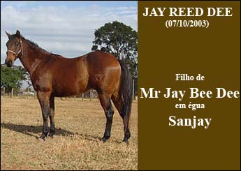 JAY REED DEE