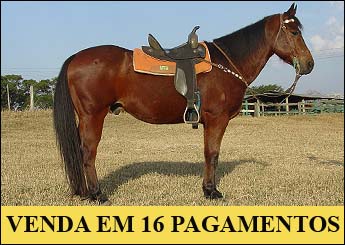Sem nome Informado - 612