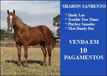 SHARON SANBENTO