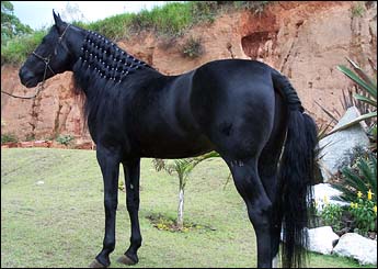 H.KHAN DO MONTSSERRAT