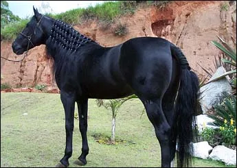 H.KHAN DO MONTSSERRAT