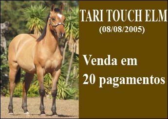 Sem nome Informado - 580