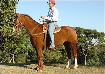 Sem nome Informado - 552