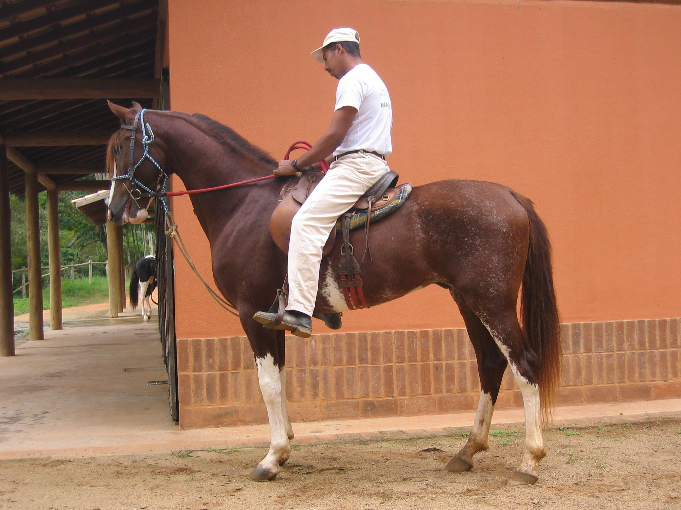 TROVÃO MX