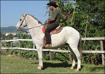 MARACUJA DO LUTY
