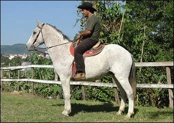 MARACUJA DO LUTY