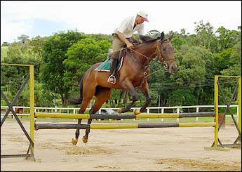 Sem nome Informado - 444