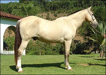 CORISCO