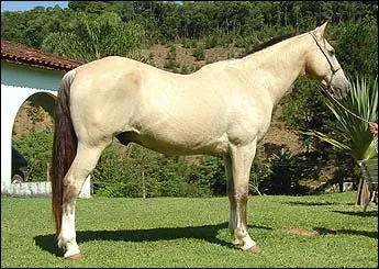 CORISCO