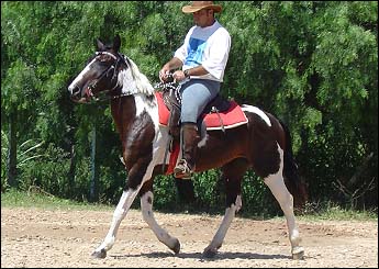 BAILARINA VHC