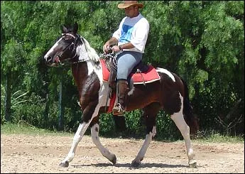 BAILARINA VHC