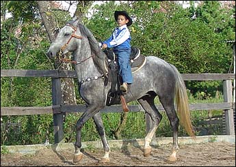 PRATEADO