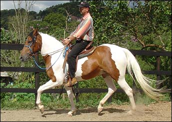 PALOMA EPB