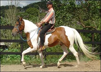 PALOMA EPB