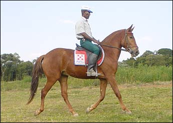 URTIGÃ DO SKI