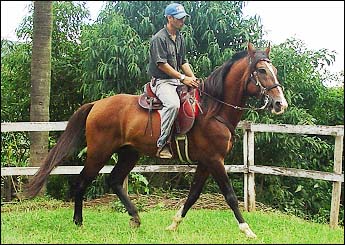 AMULETO DO LUTY